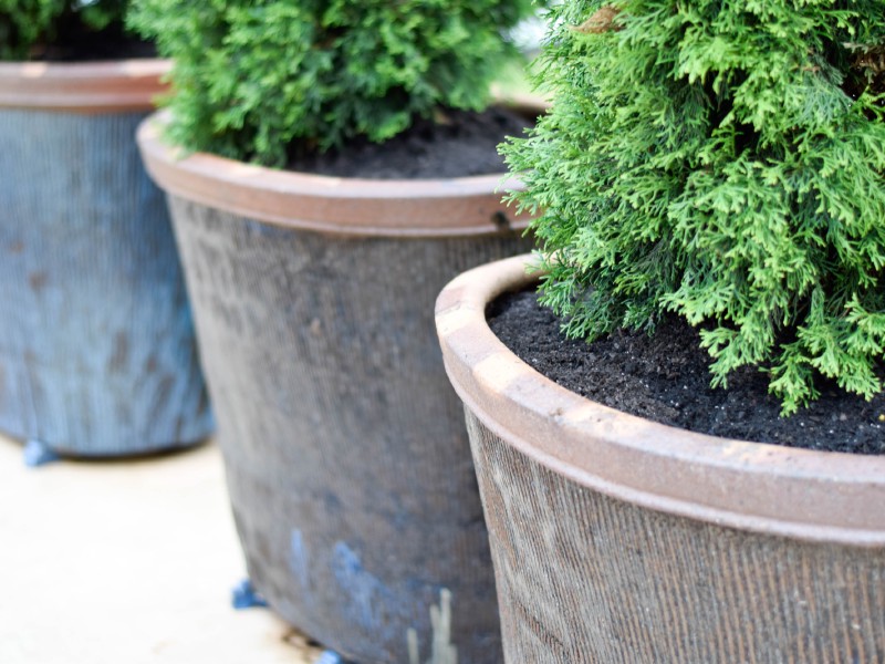 Planters and Pottery